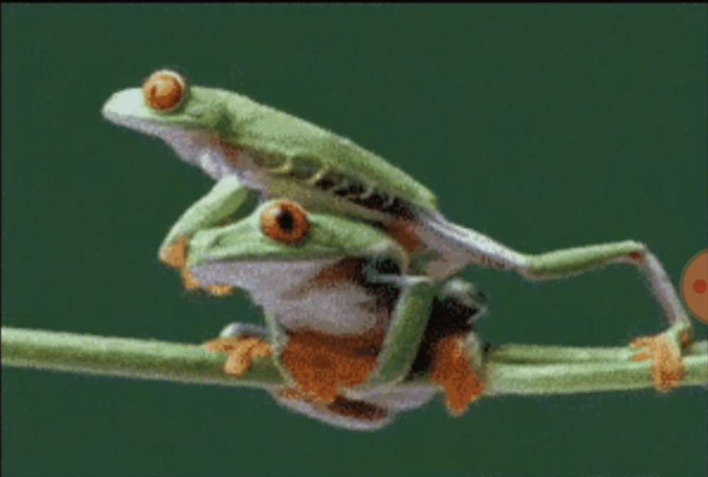 Unity Android Native File Opener cover